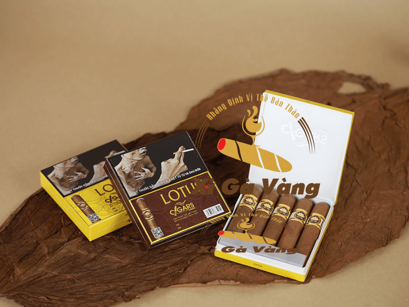 Mua Cigar Lotus đến ngay Xì Gà Vàng